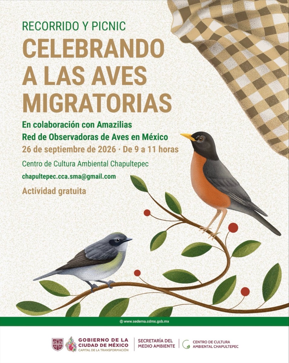 ¡A VOLAR CON LAS AVES MIGRATORIAS! LA SEDEMA TE INVITA A UN RECORRIDO Y PICNIC EN CHAPULTEPEC 