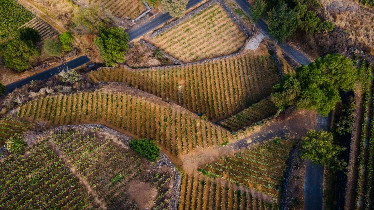 ALTÉPETL BIENESTAR PONE A LA CAPITAL EN EL MAPA MUNDIAL DE LAS CIUDADES VERDES