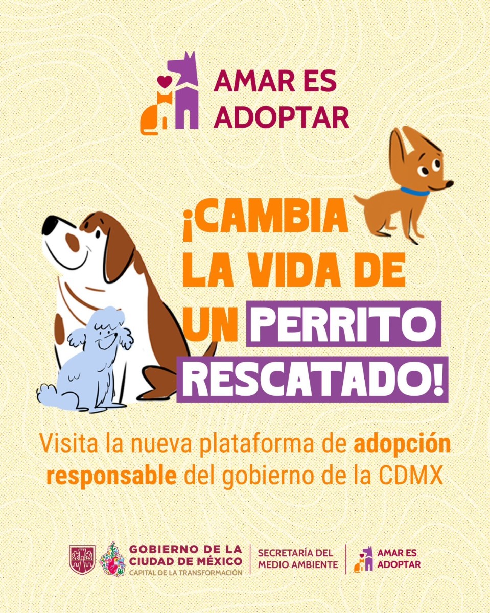 AMAR ES ADOPTAR: GOBIERNO CAPITALINO PREPARA HOGAR PARA 600 PERROS Y BUSCA FAMILIAS PARA DARLES UNA SEGUNDA OPORTUNIDAD