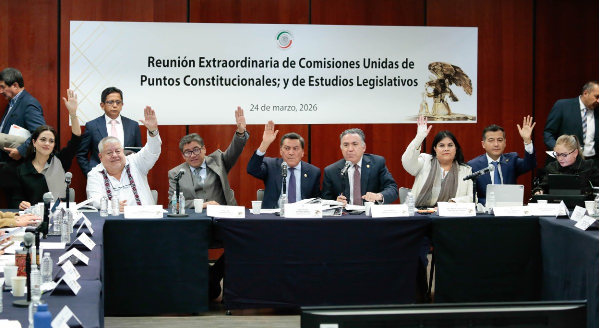 AVALAN COMISIONES DEL SENADO "PLAN B"