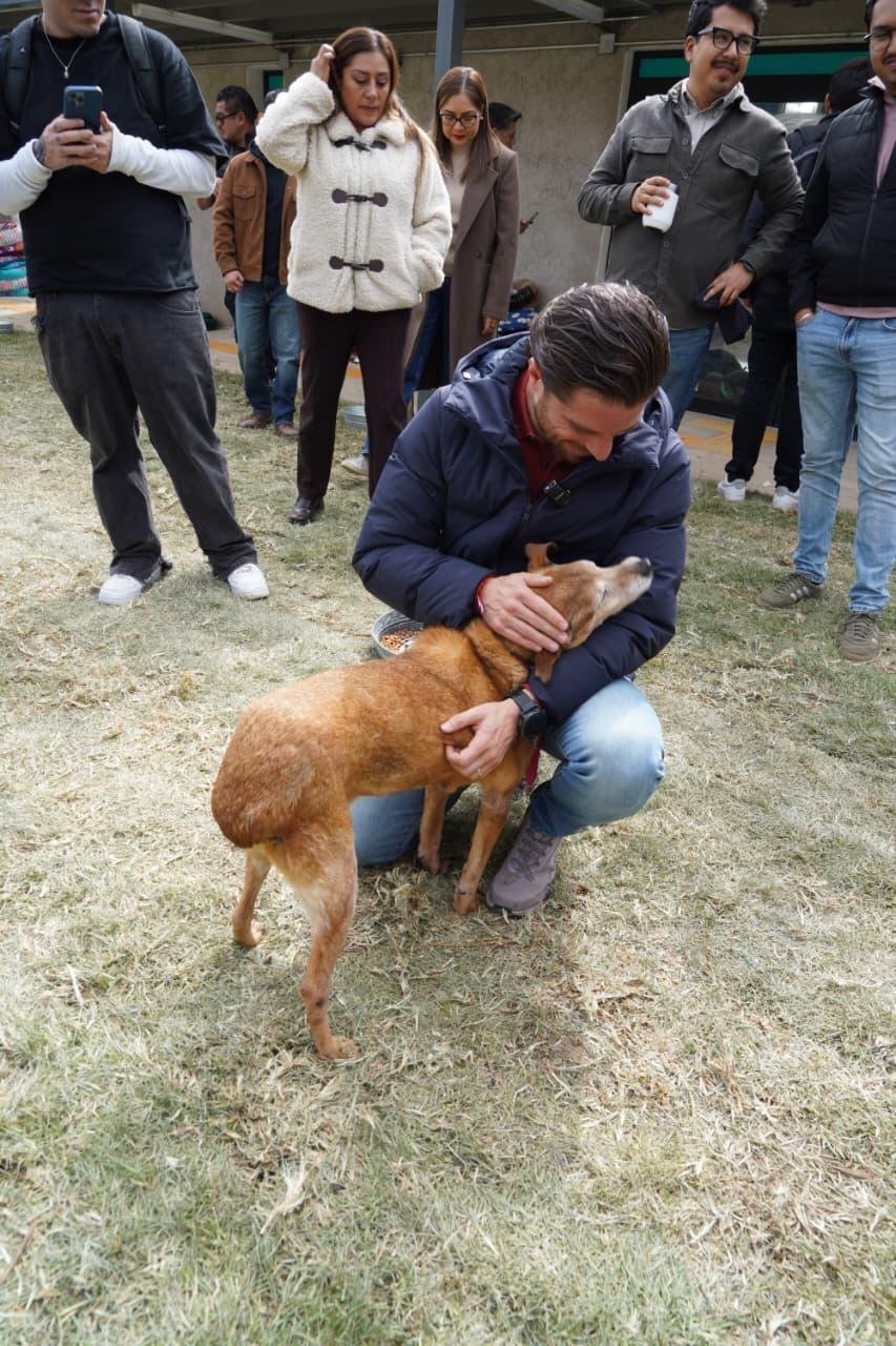 CON FOROS SE FORTALECERÁ LA REGULACIÓN DE REFUGIOS PARA ANIMALES EN LA CAPITAL