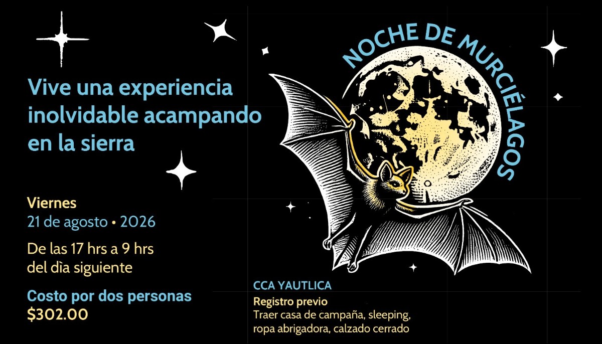 CONOCE A LOS MURCIÉLAGOS EN EL CCA YAUTLICA