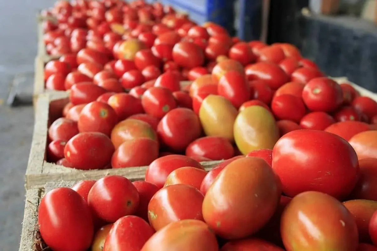 CRECE INFLACIÓN 0.62 POR CIENTO EN PRIMERA QUINCENA DE MARZO: INEGI