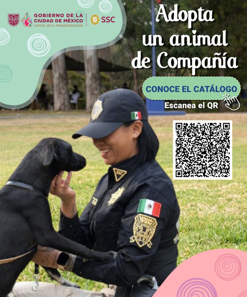 DEL MALTRATO AL HOGAR: MÁS DE 150 PERRITOS BUSCAN UNA SEGUNDA OPORTUNIDAD EN CDMX