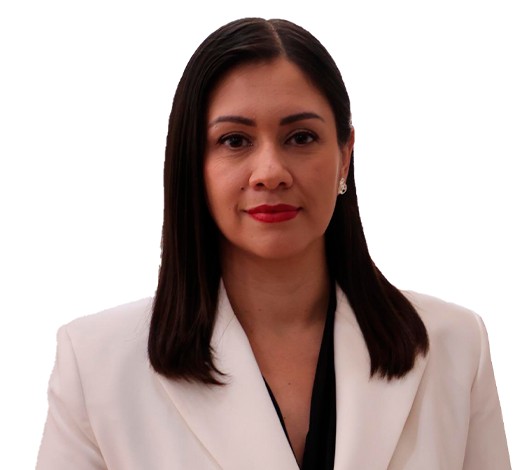 DESIGNAN A BLANCA CRUZ GARCÍA COMO PRESIDENTA PROVISIONAL DEL INE TRAS LA RENUNCIA DE GUADALUPE TADDEI