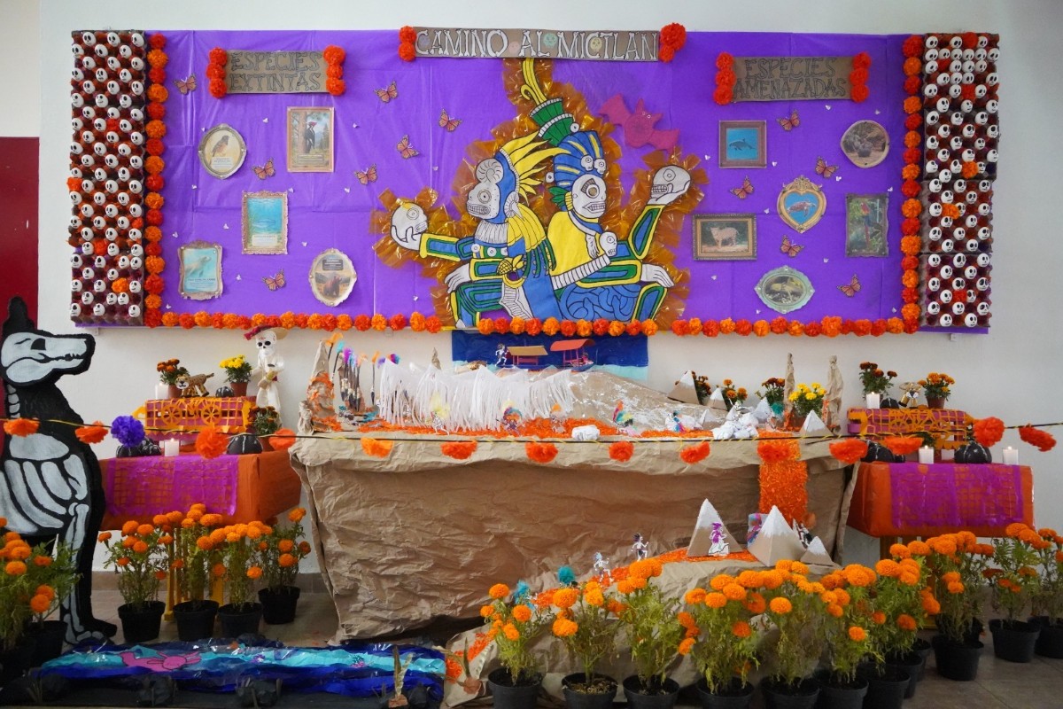 DÍA DE MUERTOS ENTRE ANIMALES Y LEYENDAS: EMPÁPATE DE CULTURA Y VISITA LAS OFRENDAS DE CHAPULTEPEC, ARAGÓN Y LOS COYOTES
