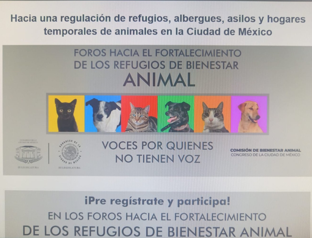HABILITAN MICROSITIO PARA REGISTRO A LOS FOROS DE REFUGIOS DE ANIMALES