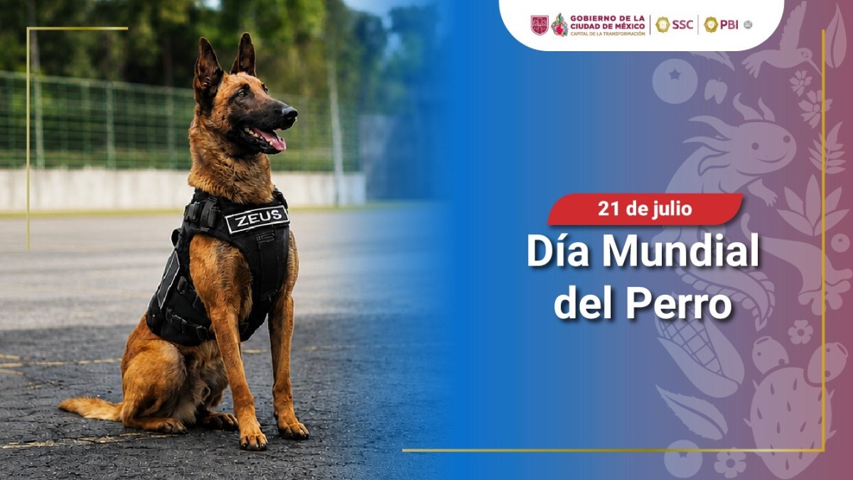 LA SSC CDMX FESTEJA EL DÍA MUNDIAL DEL PERRO RINDIENDO HOMENAJE A FAMILIA CANINA