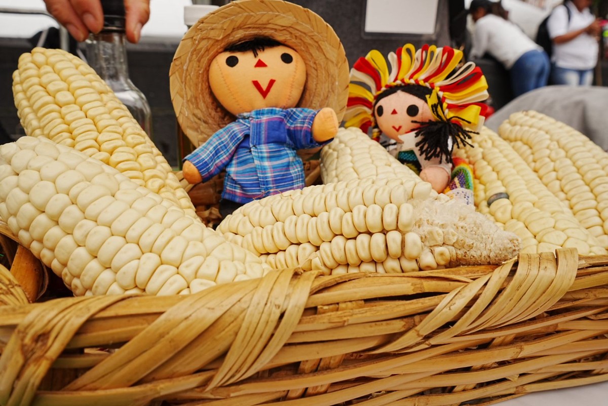 ¡MAÍZ, TALLERES Y MÚSICA! ASÍ SERÁ LA FERIA DEL MAÍZ Y LA AGRODIVERSIDAD 2026 EN CHAPULTEPEC
