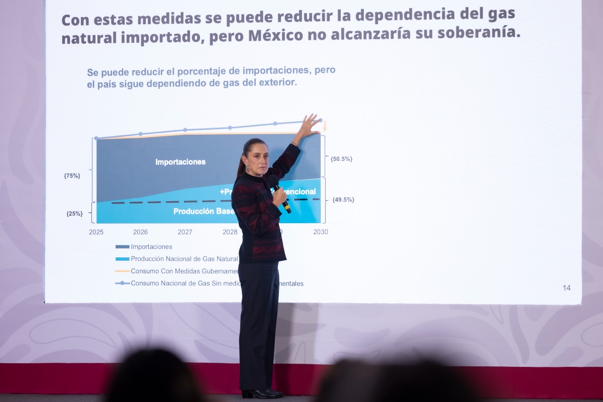 SE ANUNCIARON LAS 10 PRIMERAS CONCLUSIONES PRELIMINARES DEL COMITÉ DE CIENTÍFICOS Y ESPECIALISTAS PARA EL ANÁLISIS DE EXPLOTACIÓN DE GAS NATURAL NO CONVENCIONAL