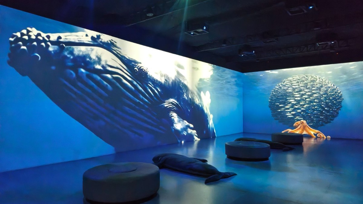 SEDEMA INVITA A DESCUBRIR LA CIENCIA EN EL MUSEO DE HISTORIA NATURAL