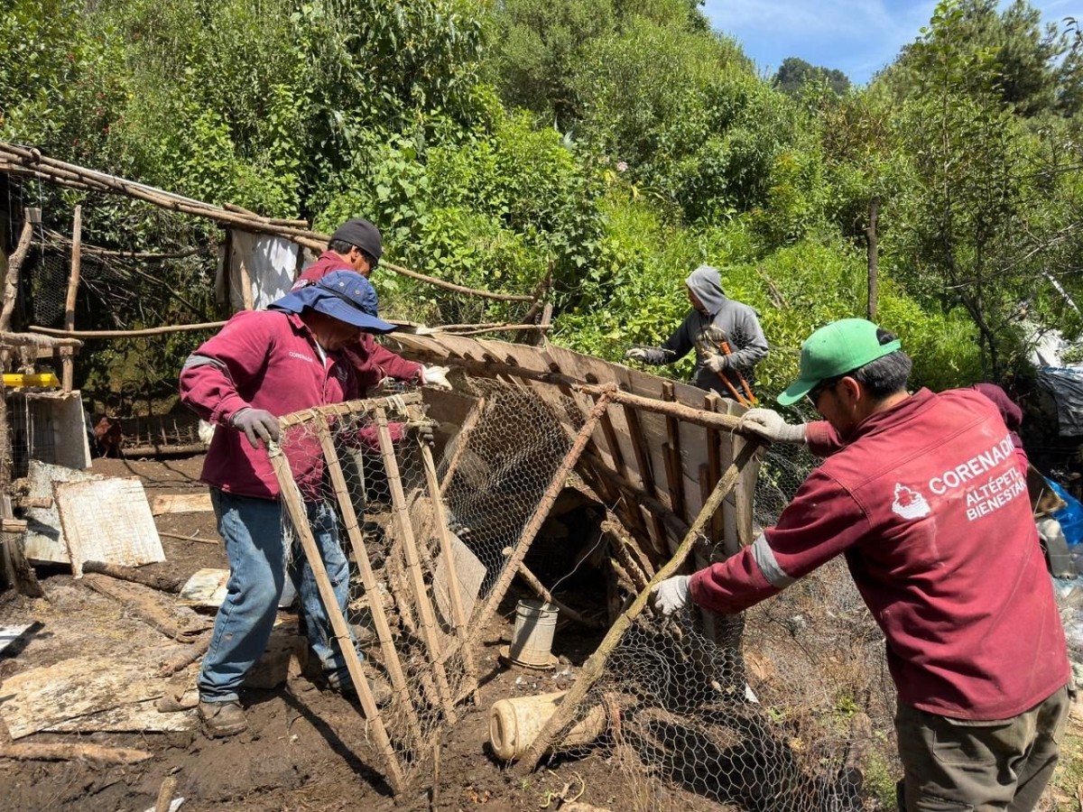 SEDEMA PROTEGE 32 HECTÁREAS DE SUELO DE CONSERVACIÓN EN TIZIMALOYA 