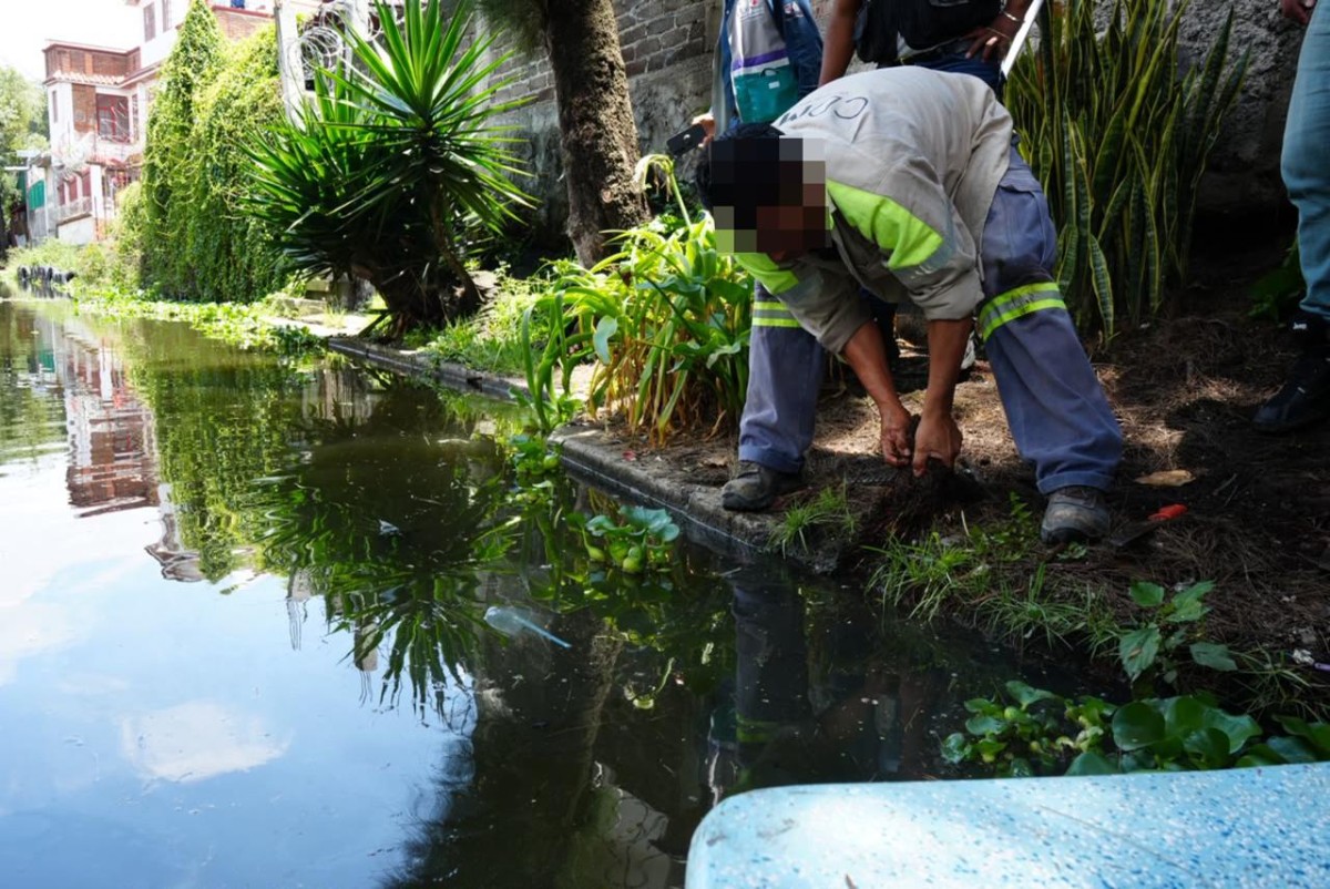 SEDEMA, SEGIAGUA Y ALCALDÍA XOCHIMILCO FORTALECEN ACCIONES PARA PROTEGER LA ZONA LACUSTRE DE LOS CANALES DE XOCHIMILCO