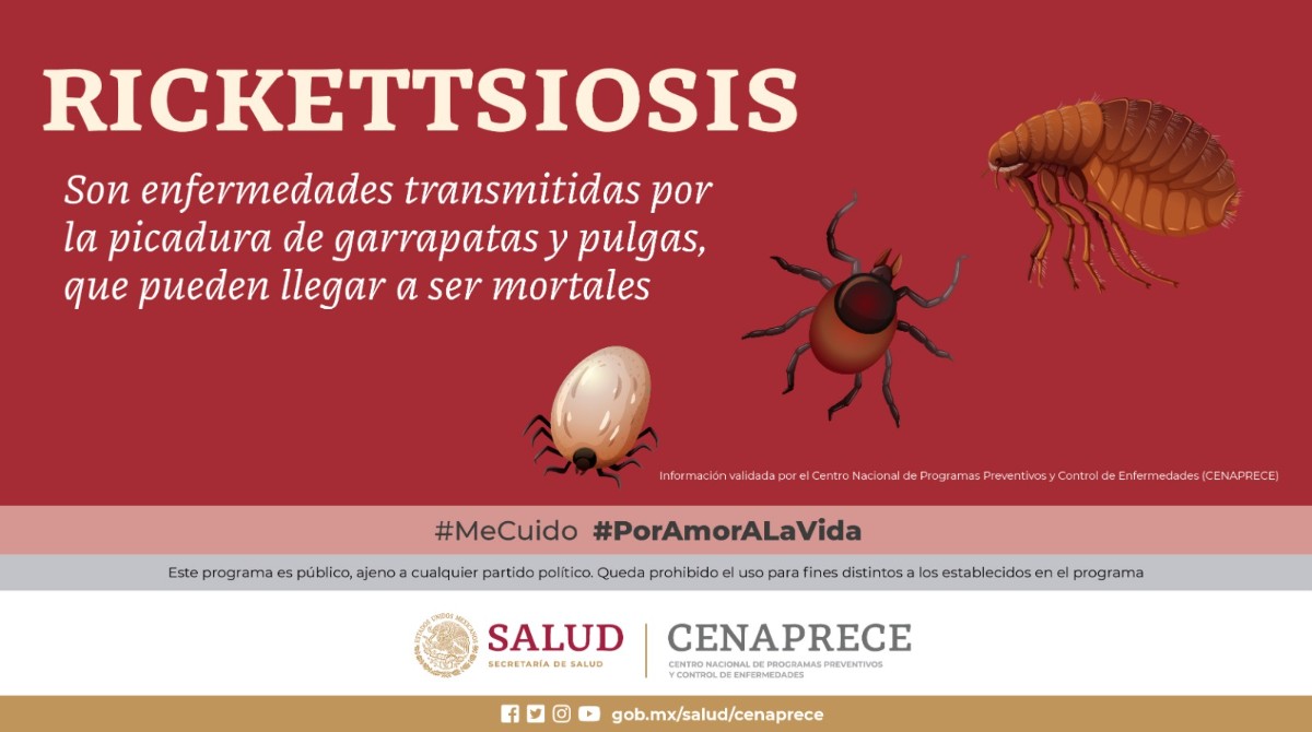SONORA ENCABEZA EL PRIMER LUGAR EN CASOS CONFIRMADOS DE FIEBRE MANCHADA; 74 CONTAGIOS RATIFICADOS Y 32 DEFUNCIONES