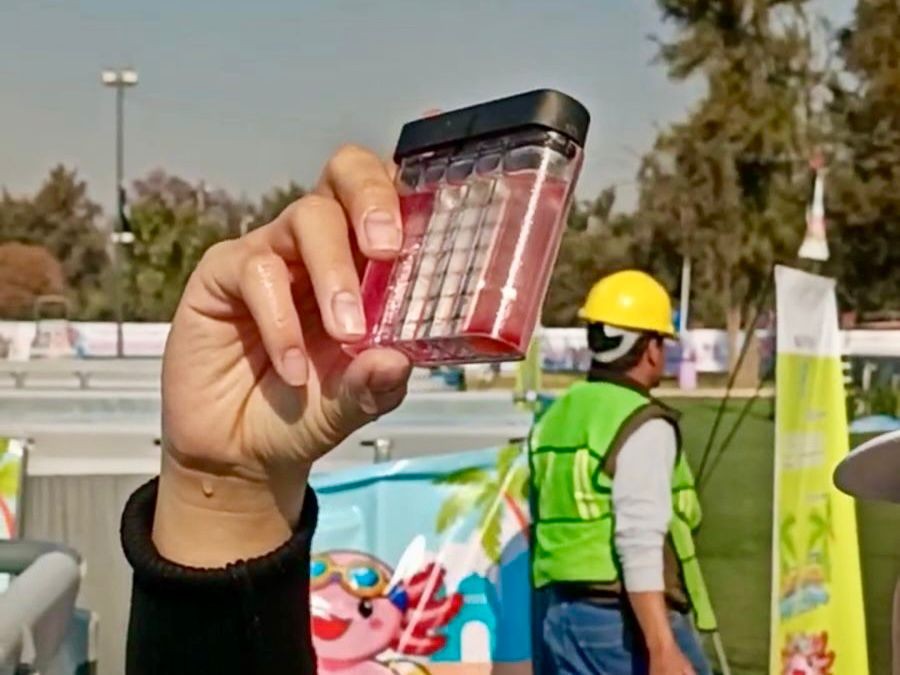 SUPERVISAN CALIDAD DEL AGUA EN ALBERCAS PÚBLICAS DE CDMX POR SEMANA SANTA