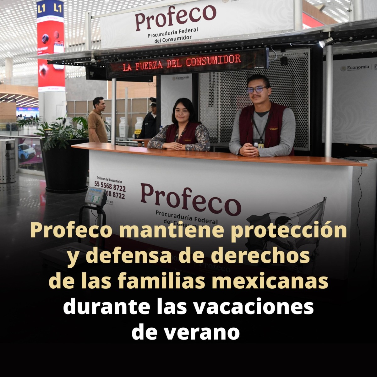 ¡VACACIONES EN JAQUE! VUELOS PERDIDOS Y CANCELADOS DESATAN INTERVENCIÓN DE PROFECO