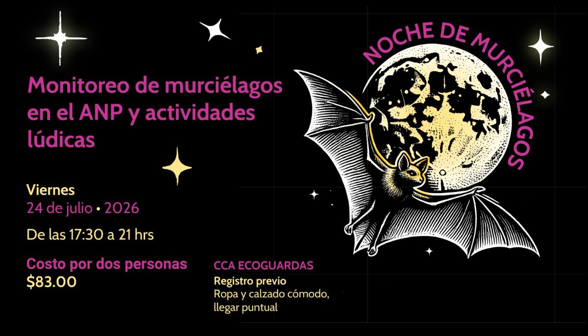 VIVE LA “NOCHE DE MURCIÉLAGOS” EN ECOGUARDIAS: SEDEMA ABRE OBSERVACIÓN NOCTURNA Y MONITOREO DE FAUNA